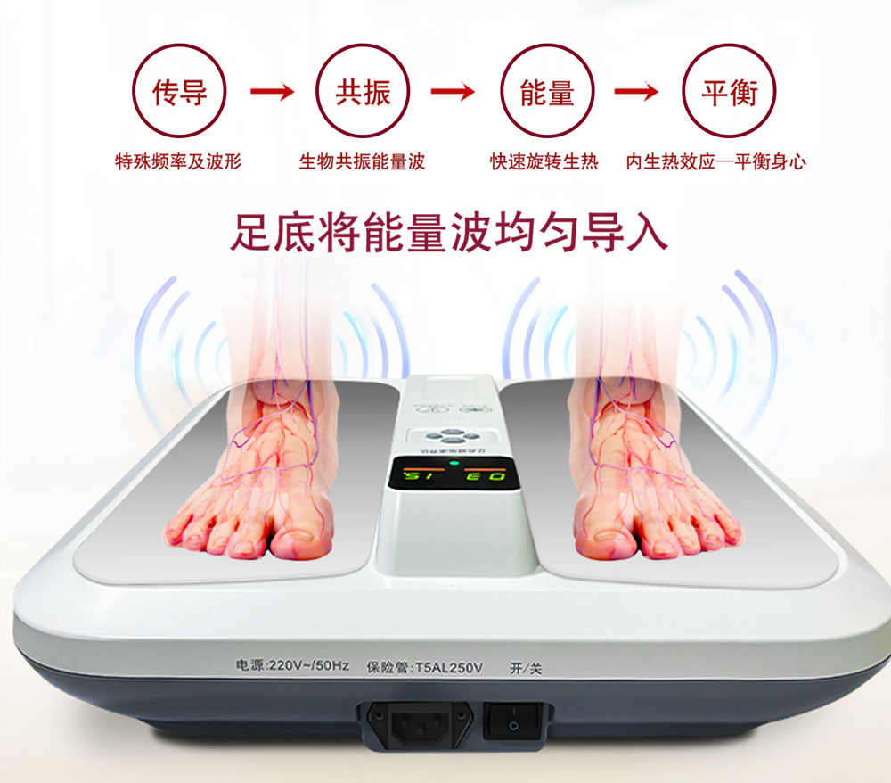宇宙医学・生理学 Gigahertz Solutions ME3840B Low Frequency (NF) Electrosmog